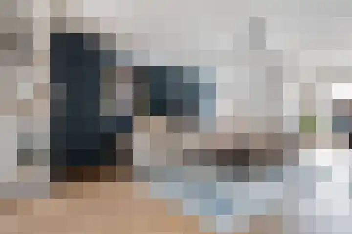 Parlevinker 6 Nieuw-Vennep thumbnail 13
