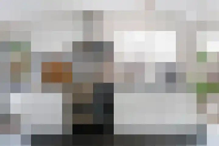 Parlevinker 6 Nieuw-Vennep thumbnail 16