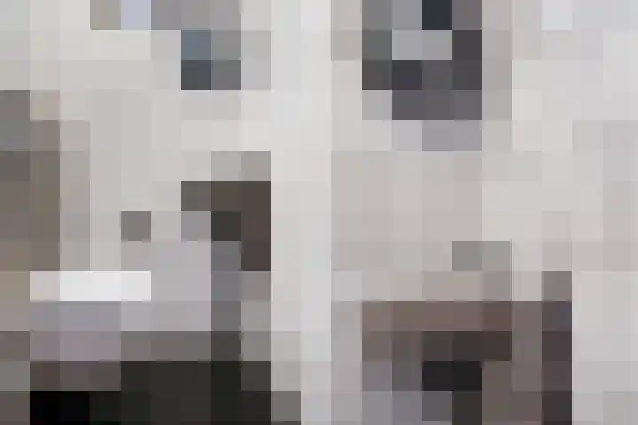 Parlevinker 6 Nieuw-Vennep thumbnail 21