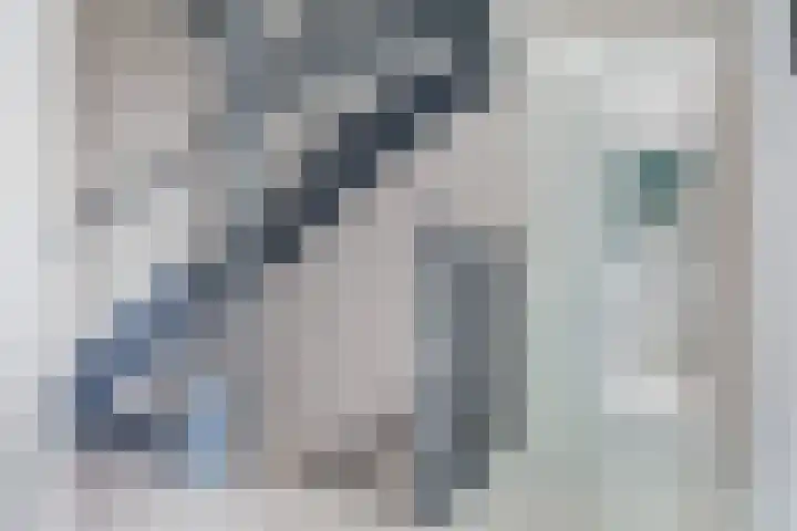 Parlevinker 6 Nieuw-Vennep thumbnail 22