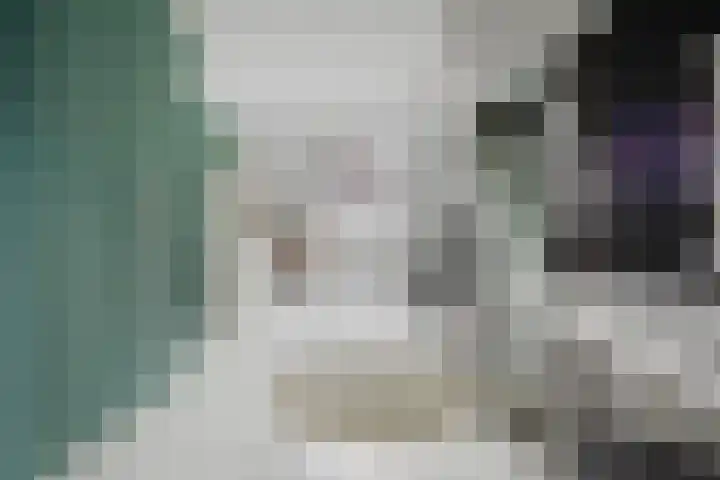 Parlevinker 6 Nieuw-Vennep thumbnail 25