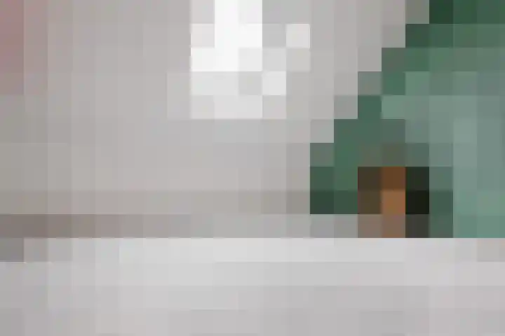 Parlevinker 6 Nieuw-Vennep thumbnail 26