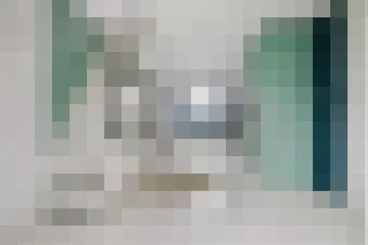 Parlevinker 6 Nieuw-Vennep thumbnail 4