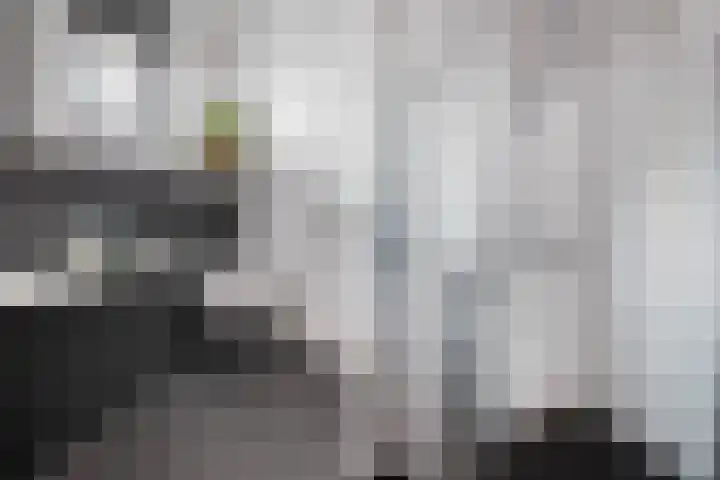 Parlevinker 6 Nieuw-Vennep thumbnail 40