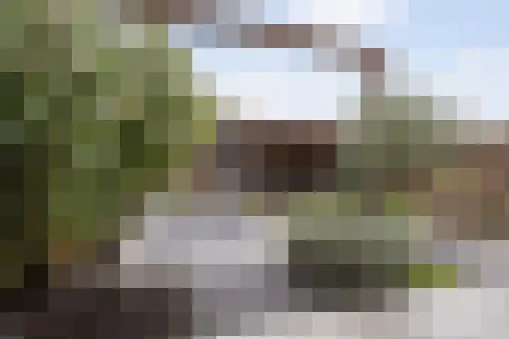 Parlevinker 6 Nieuw-Vennep thumbnail 47
