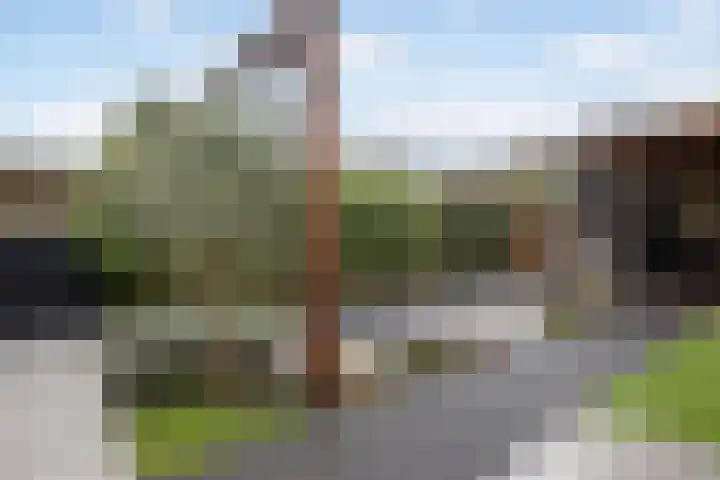Parlevinker 6 Nieuw-Vennep thumbnail 49