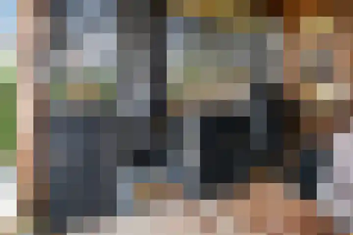 Parlevinker 6 Nieuw-Vennep thumbnail 52