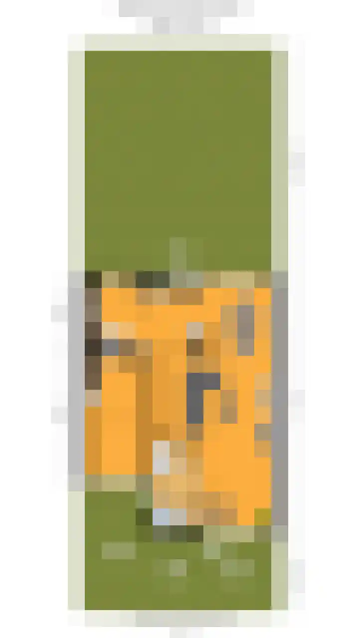 Parlevinker 6 Nieuw-Vennep thumbnail 56
