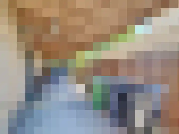 Parmastraat 6 IJzendijke thumbnail 36