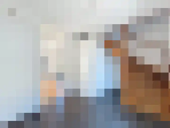 Parmastraat 6 IJzendijke thumbnail 7