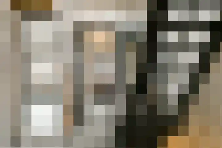 Parmentierlaan 44 Amstelveen thumbnail 11