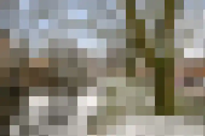 Parmentierlaan 44 Amstelveen thumbnail 25