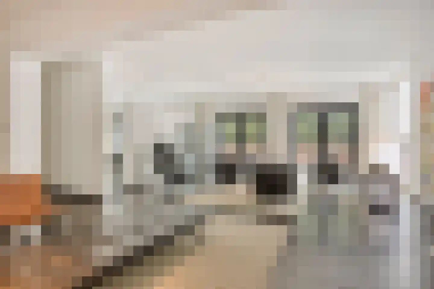 Parmentierstraat 21 Heerlen thumbnail 12