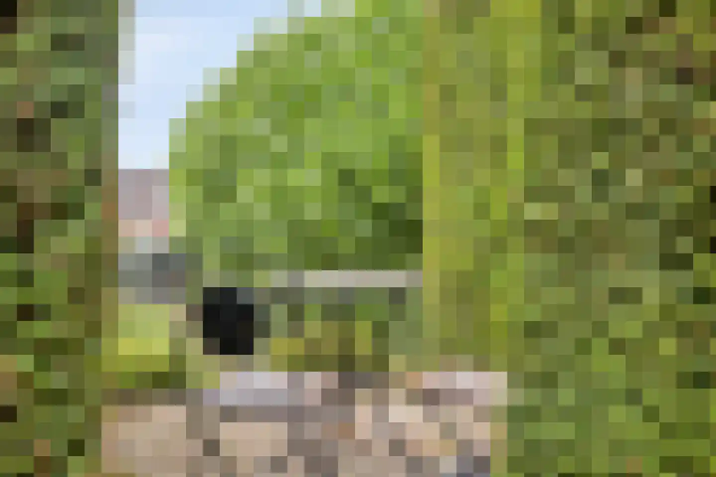 Parmentierstraat 21 Heerlen thumbnail 42