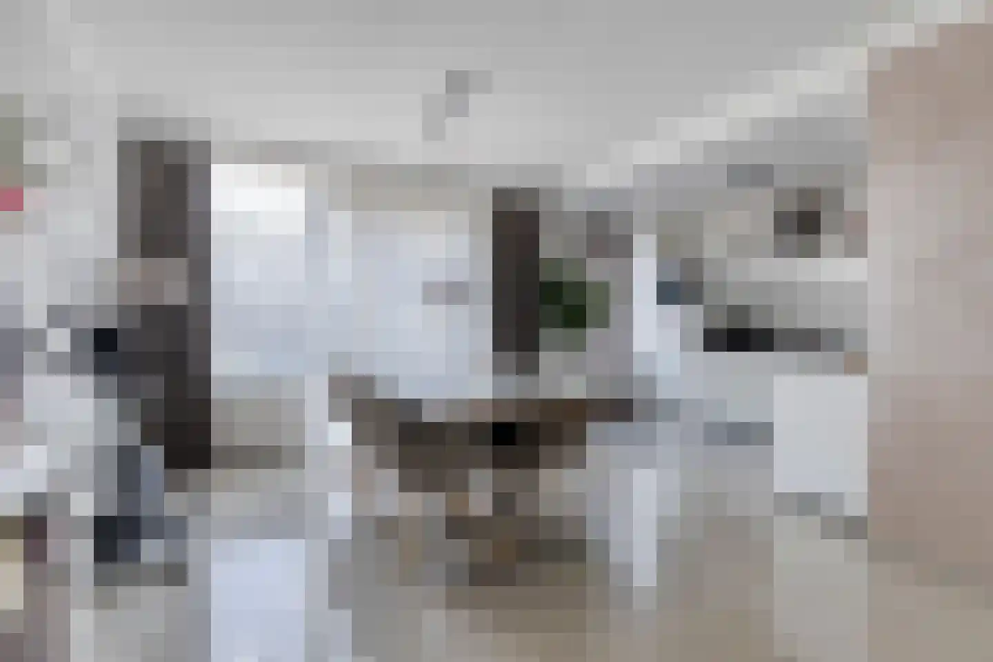 Parmentierstraat 27 Helmond thumbnail 18