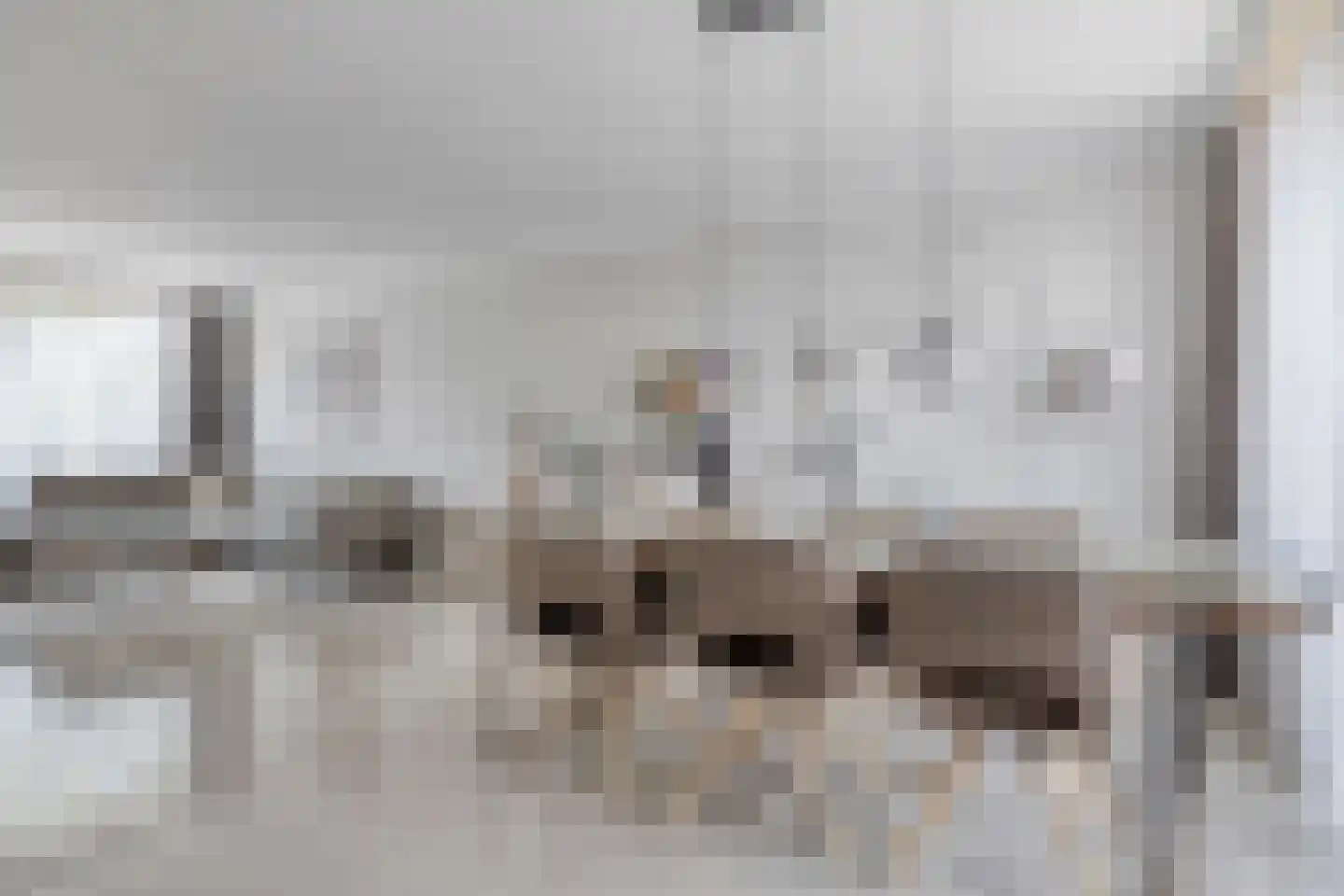 Parmentierstraat 27 Helmond thumbnail 20