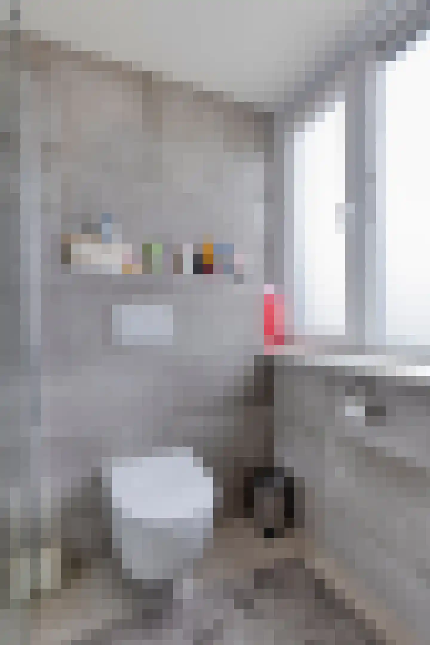 Parmentierstraat 27 Helmond thumbnail 35