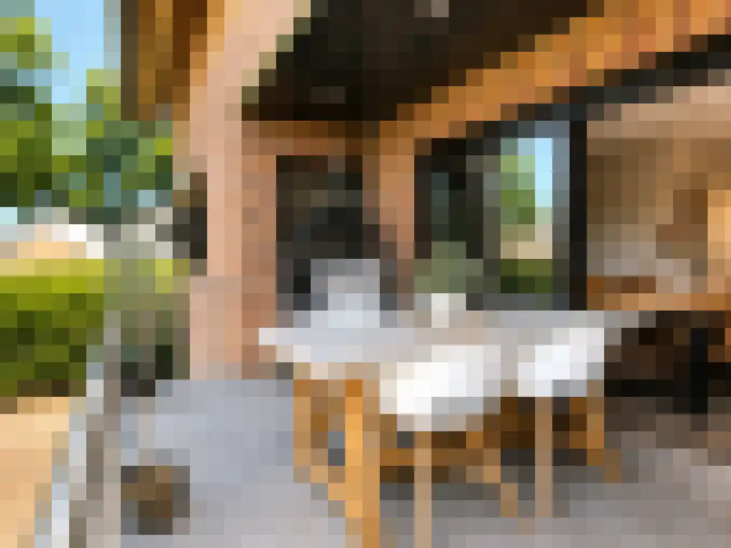 Parmentierstraat 42 Heerlen thumbnail 12