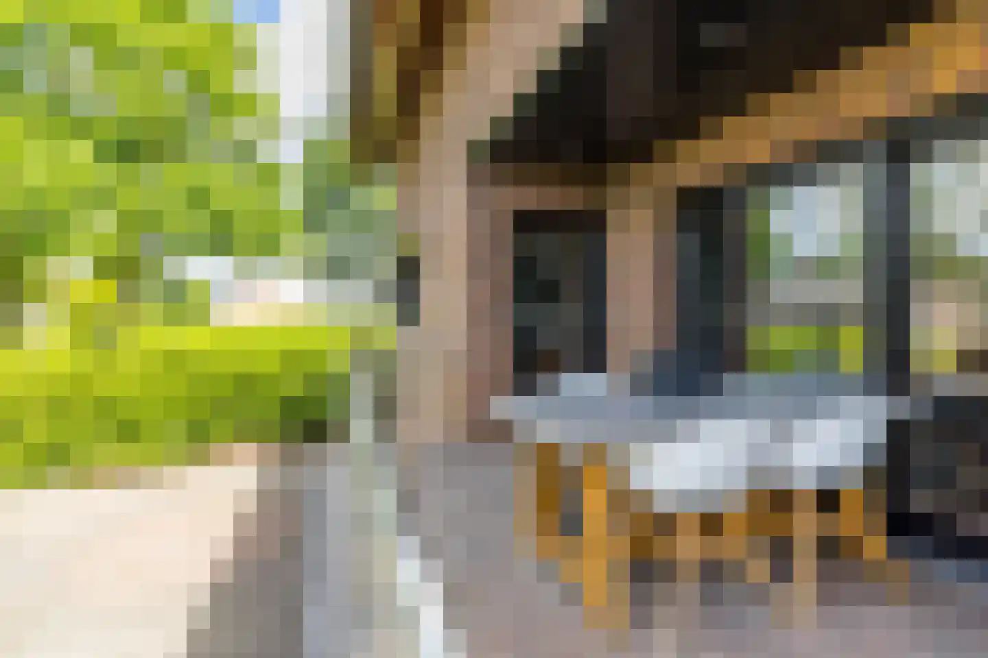 Parmentierstraat 42 Heerlen thumbnail 18