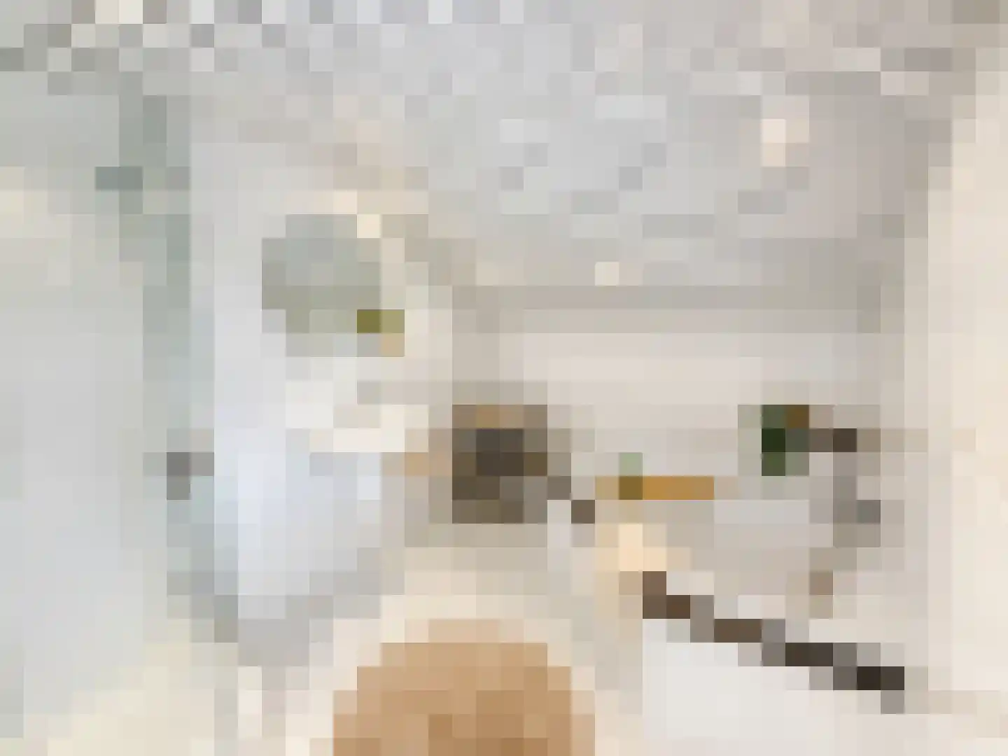Parmentierstraat 42 Heerlen thumbnail 26