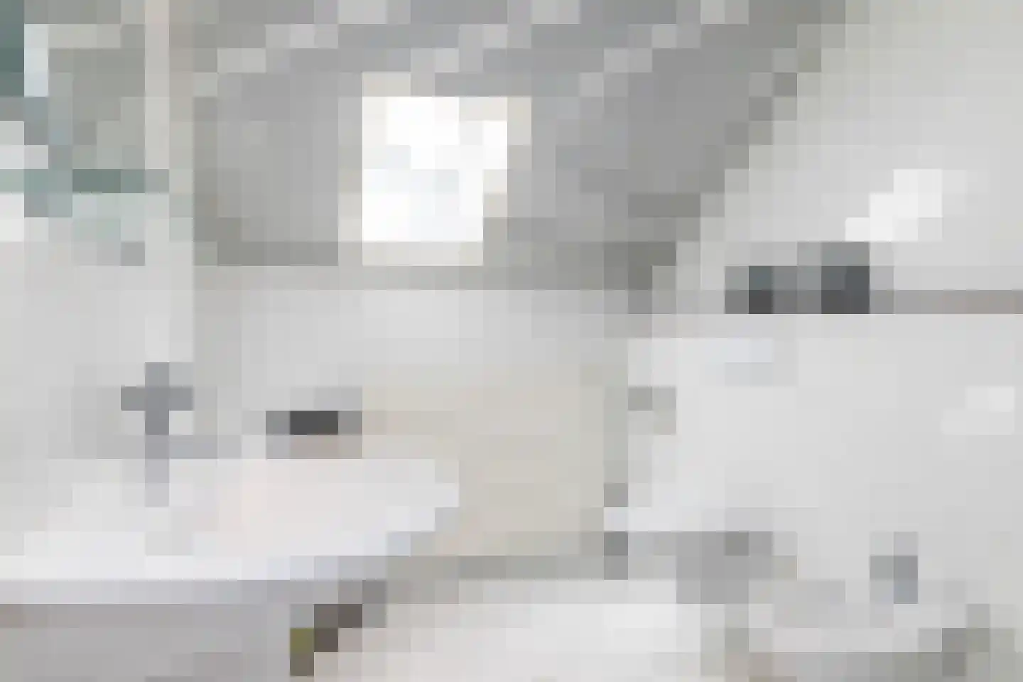 Parmentierstraat 42 Heerlen thumbnail 31