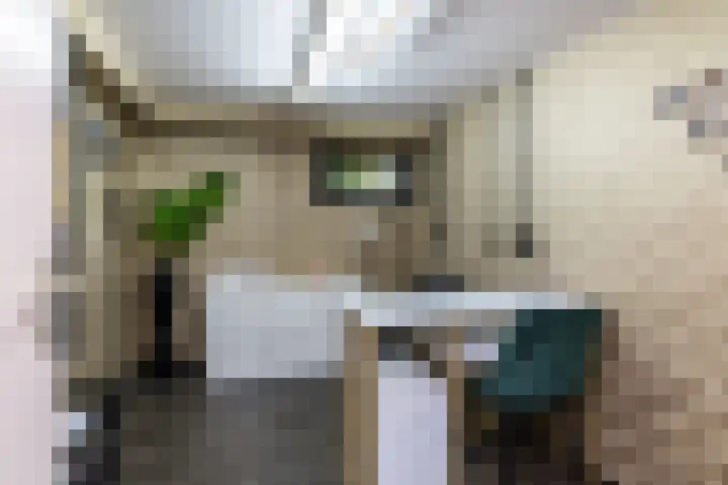 Parmentierstraat 42 Heerlen thumbnail 32