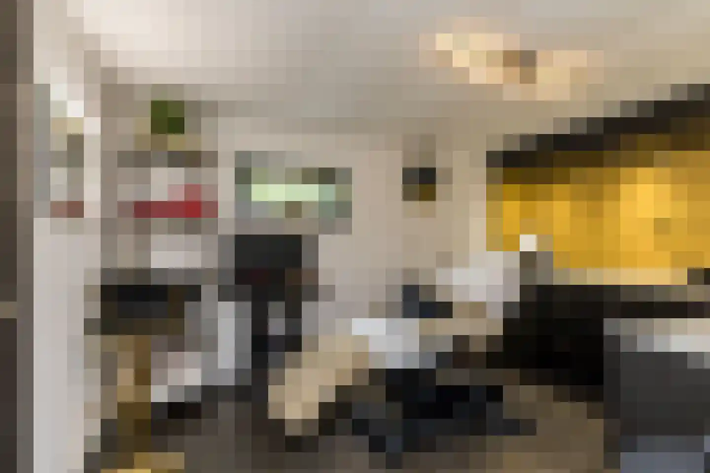 Parmentierstraat 42 Heerlen thumbnail 33