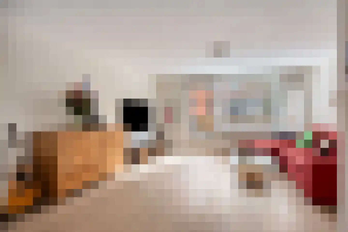 Parmentierweg 115 Leiden thumbnail 13