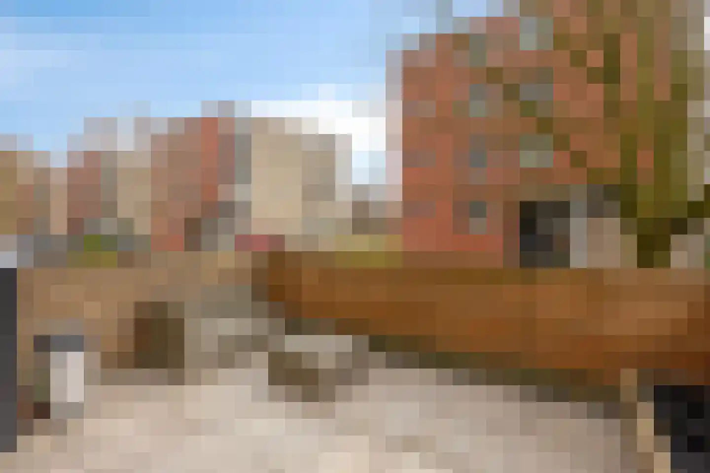Parmentierweg 115 Leiden thumbnail 33