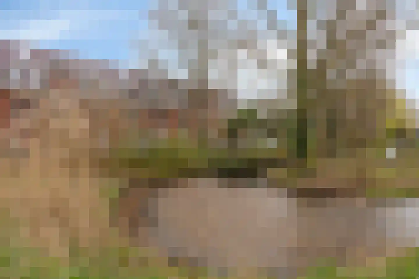 Parmentierweg 115 Leiden thumbnail 39