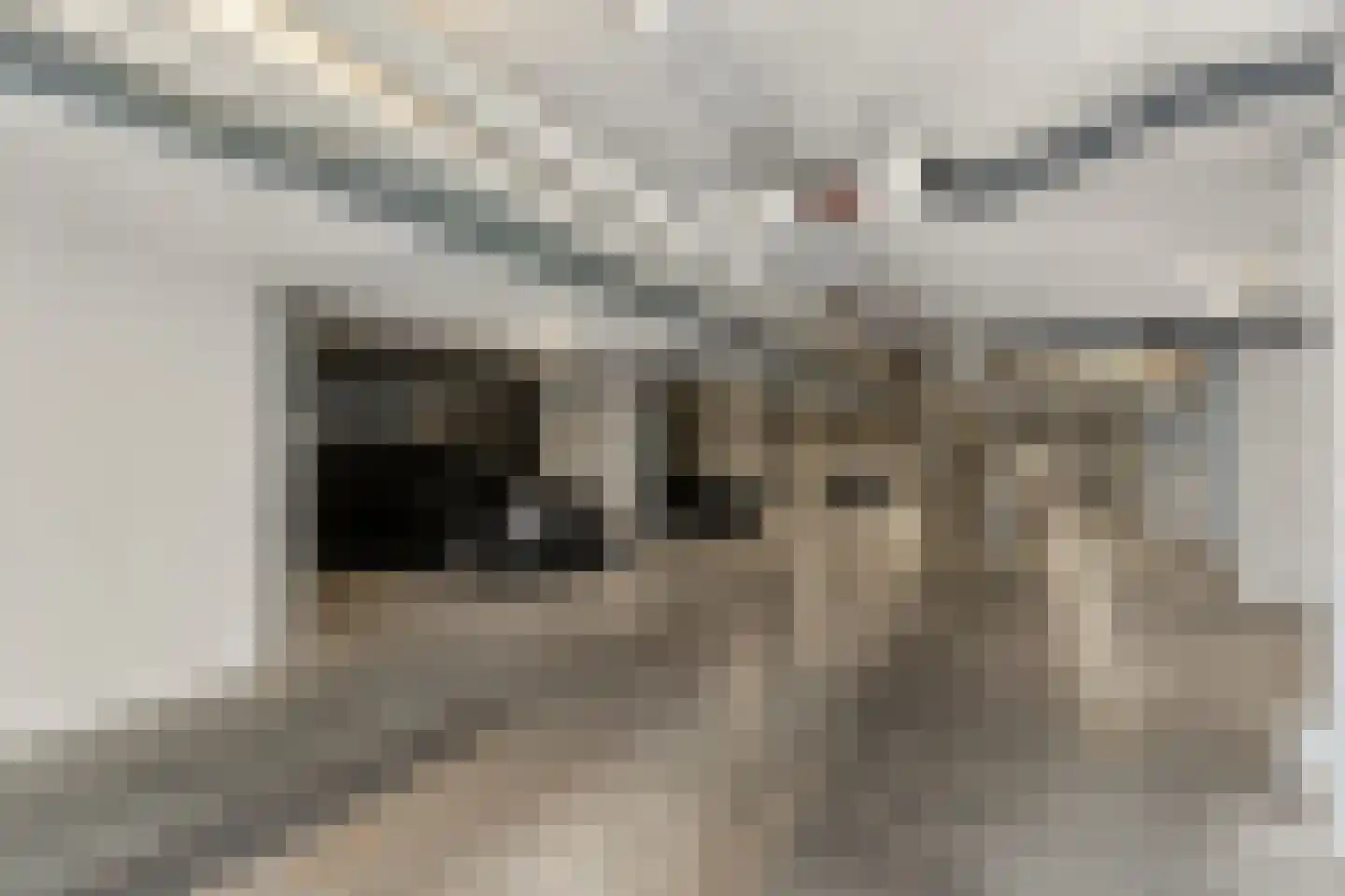 Parmentierweg 121 Leiden thumbnail 23