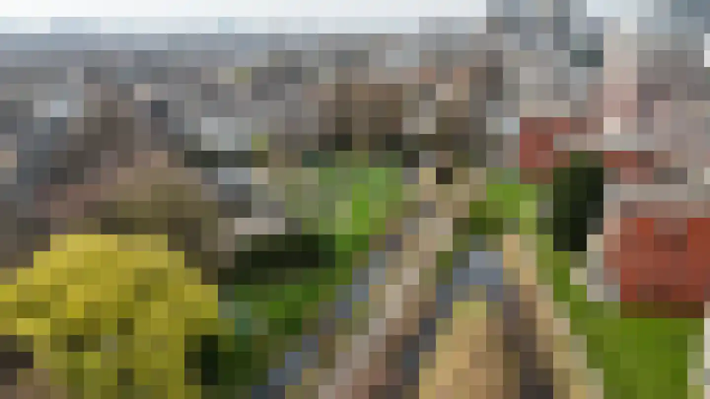 Parmentierweg 121 Leiden thumbnail 35