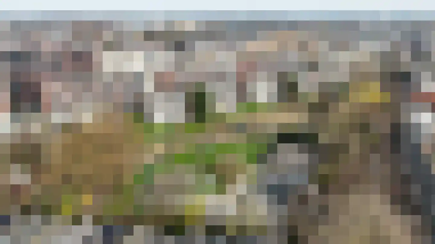 Parmentierweg 121 Leiden thumbnail 39