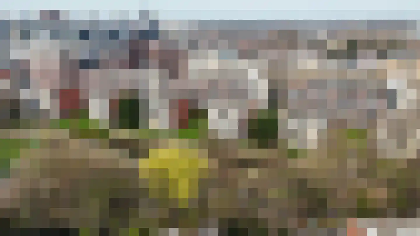 Parmentierweg 121 Leiden thumbnail 40