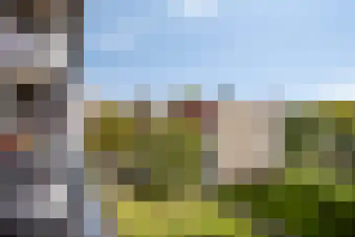 Parmentierweg 143 Leiden thumbnail 28