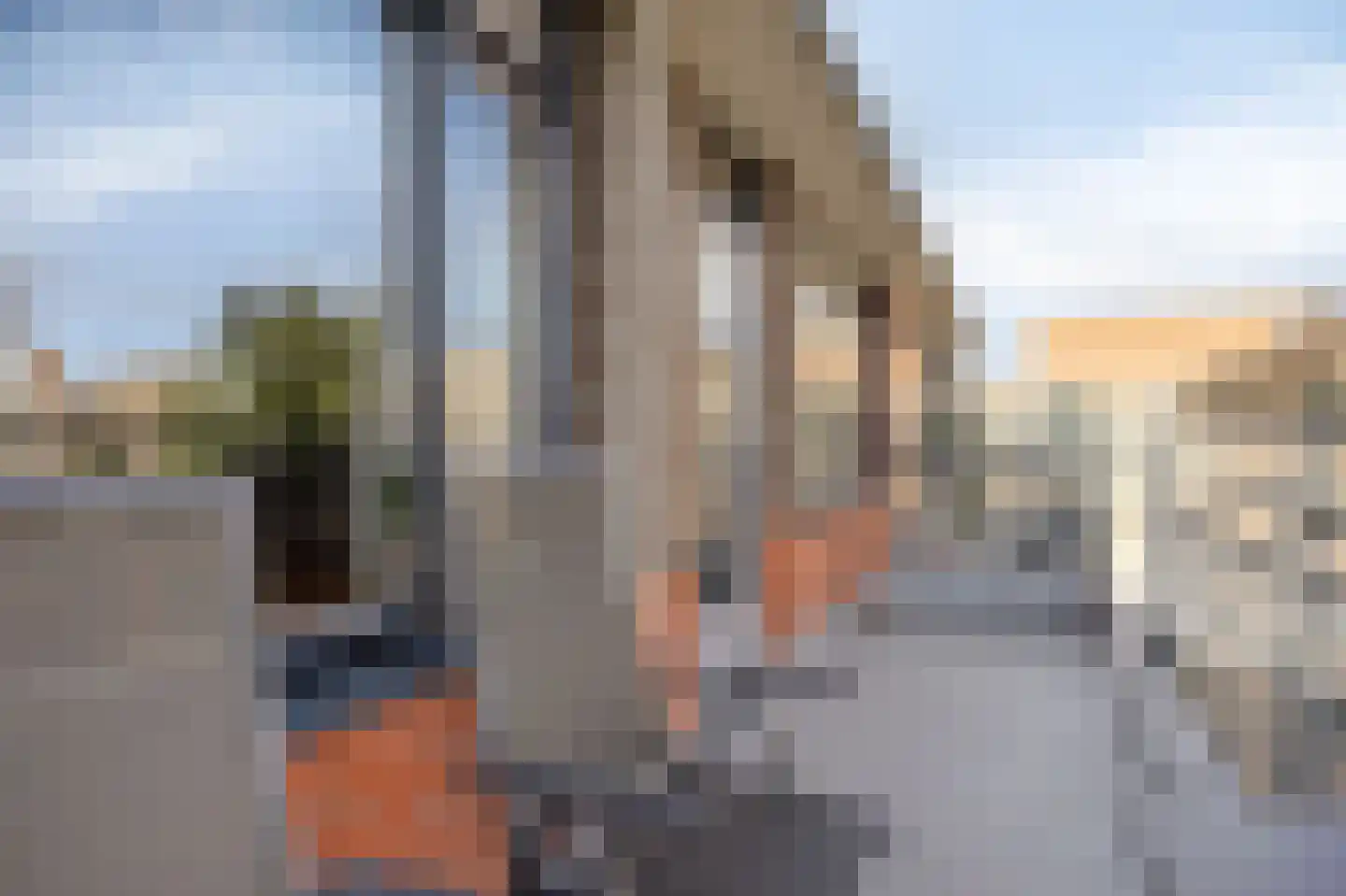 Parmentierweg 225 Leiden thumbnail 13