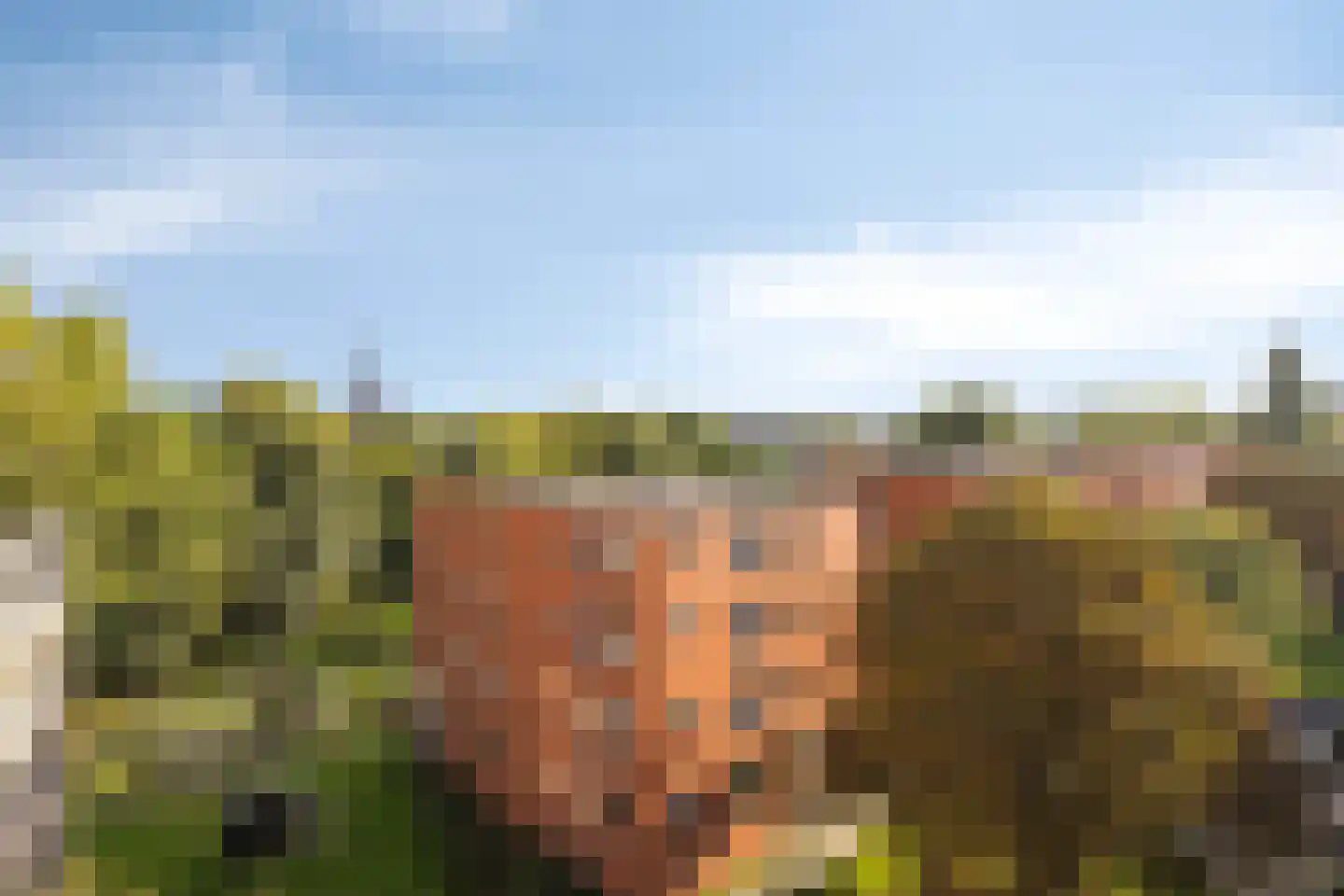 Parmentierweg 225 Leiden thumbnail 14