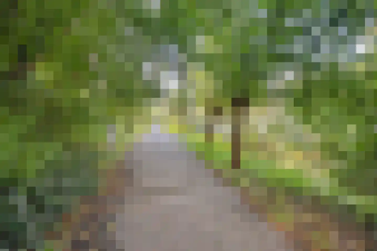 Parmentierweg 225 Leiden thumbnail 32
