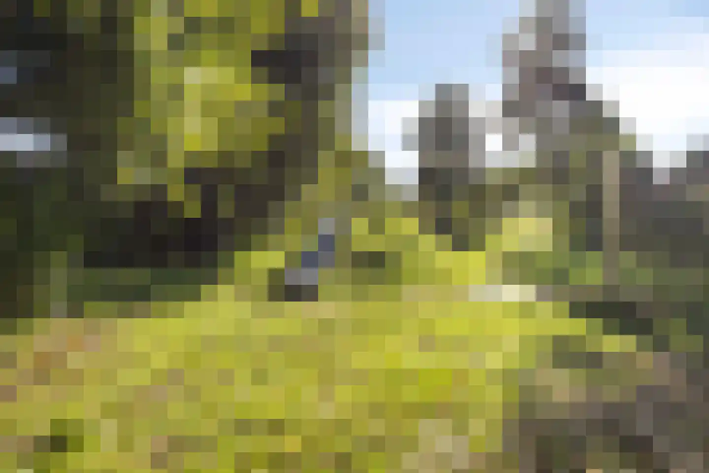Parmentierweg 225 Leiden thumbnail 35