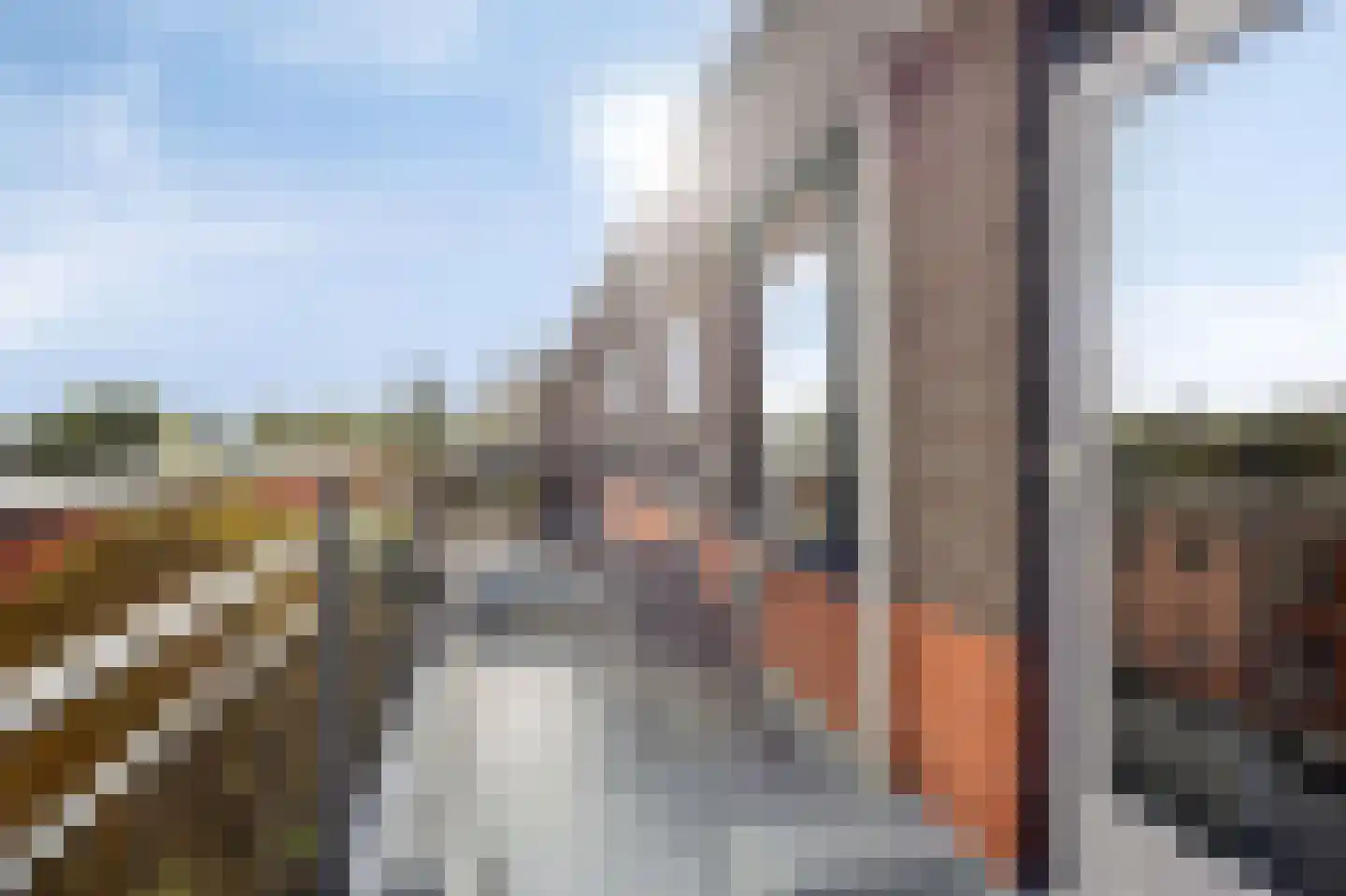 Parmentierweg 225 Leiden thumbnail 5