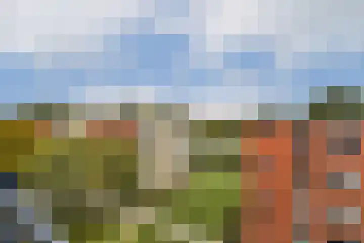 Parmentierweg 93 Leiden thumbnail 23