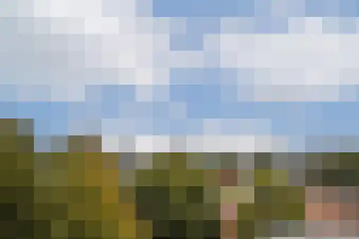 Parmentierweg 93 Leiden thumbnail 25