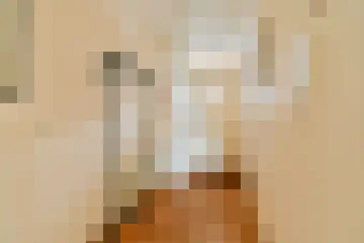 Parmentierweg 93 Leiden thumbnail 8
