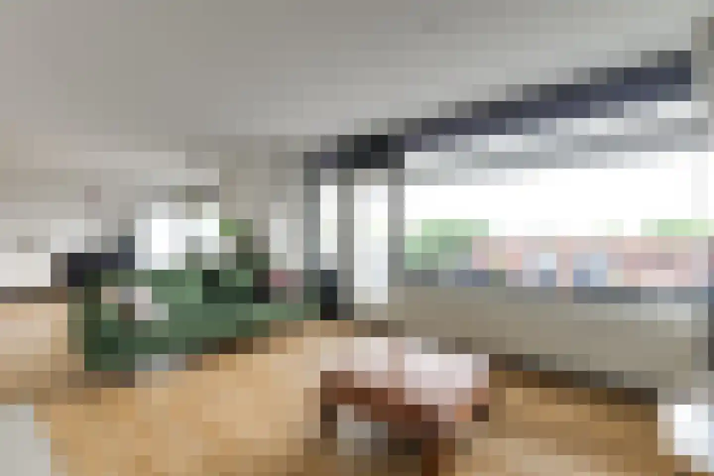Parmentierweg 99 Leiden thumbnail 14