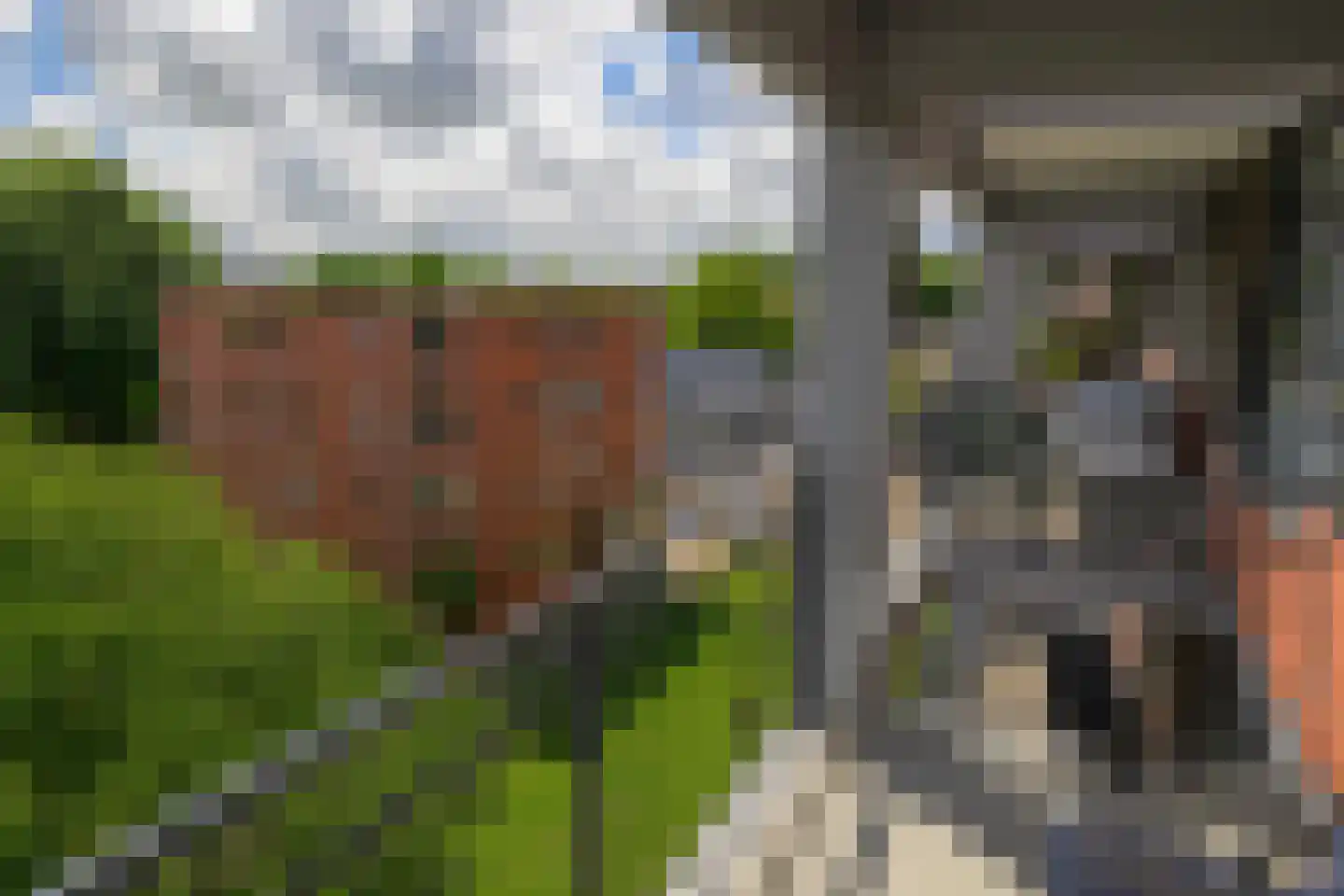 Parmentierweg 99 Leiden thumbnail 27