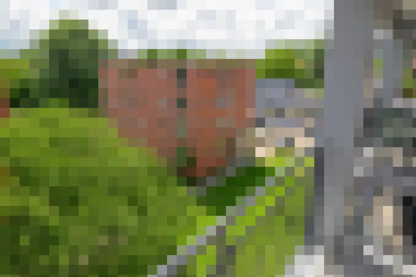 Parmentierweg 99 Leiden thumbnail 29