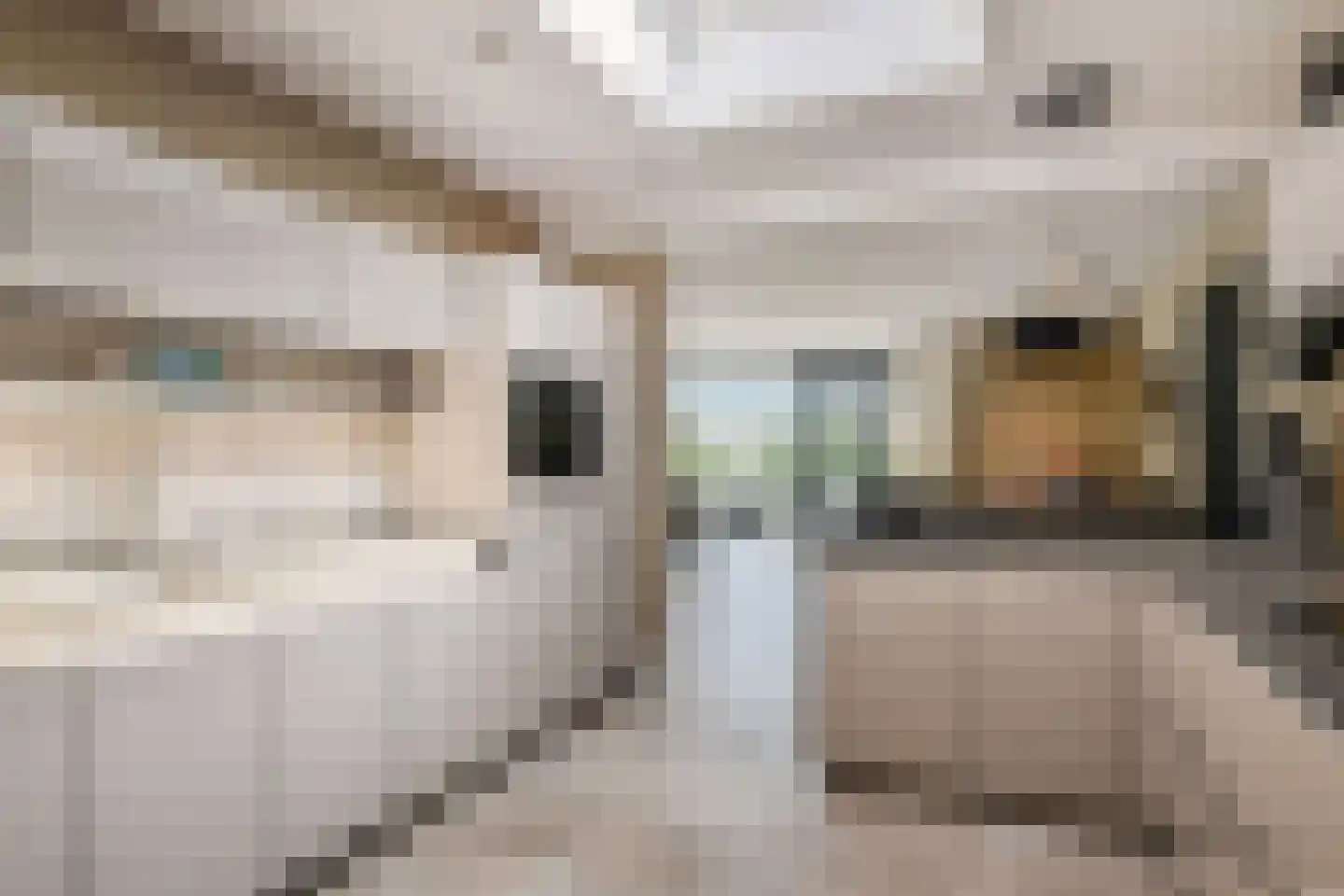 Parnashofweg 61 Leidschendam thumbnail 16