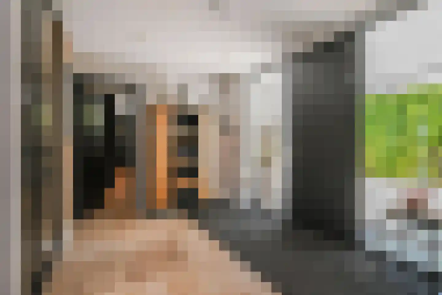 Parnashofweg 61 Leidschendam thumbnail 20