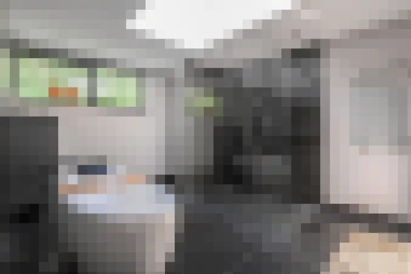 Parnashofweg 61 Leidschendam thumbnail 30