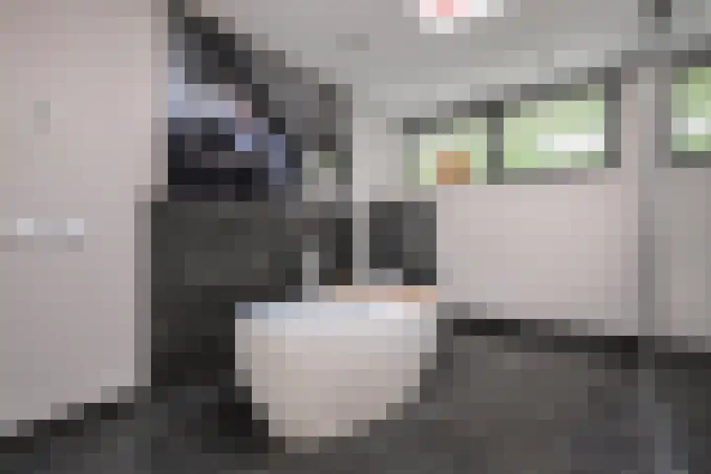 Parnashofweg 61 Leidschendam thumbnail 31